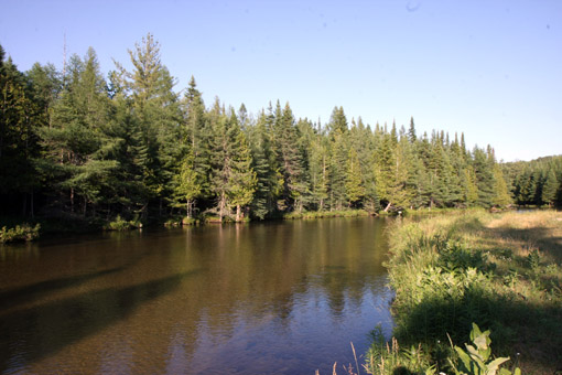 JV_2009Jul05__scenery july__0043.jpg